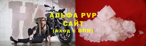 стаф Алексин