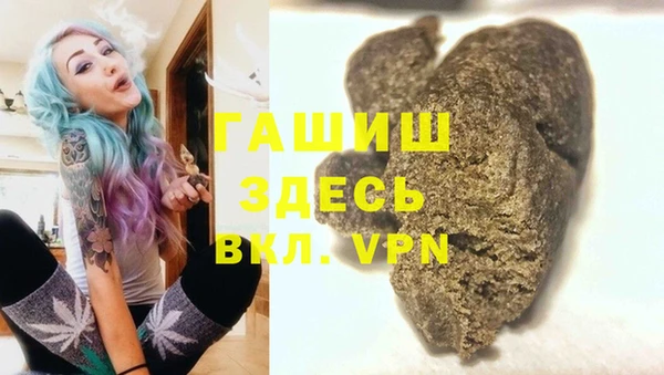 стаф Алексин