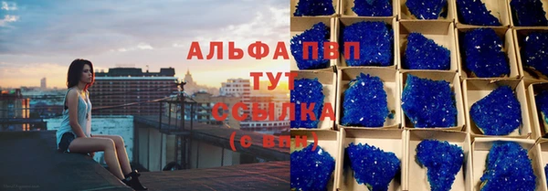 стаф Алексин