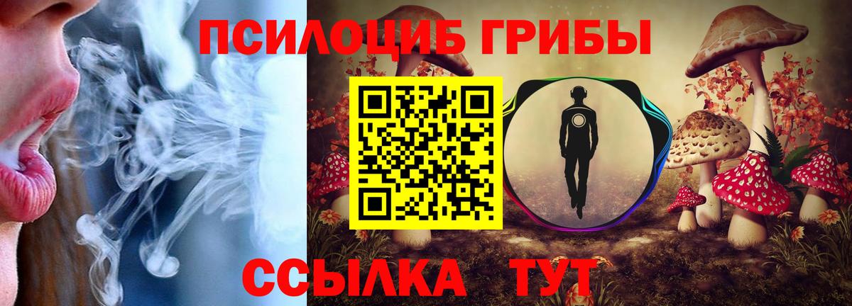 Симферополь  Галлюциногенные грибы Psilocybe  Вход с VPN 